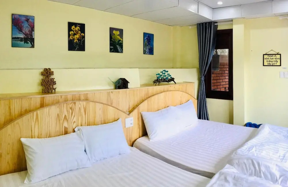 Tomorrow Homestay Đà Lạt