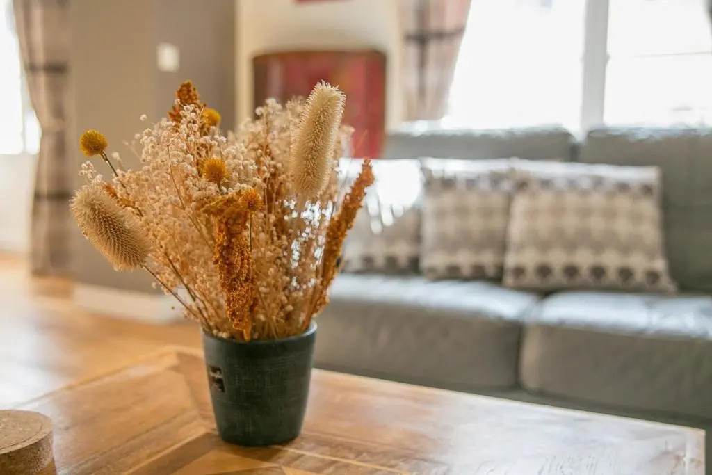 The Welcome Apartment