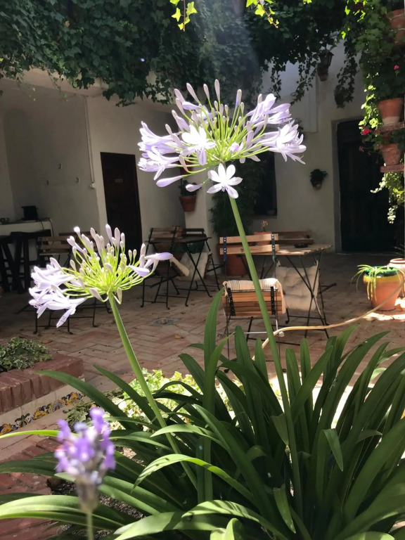 La Casa de Félix