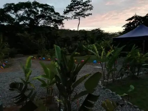 Casa Heliconia