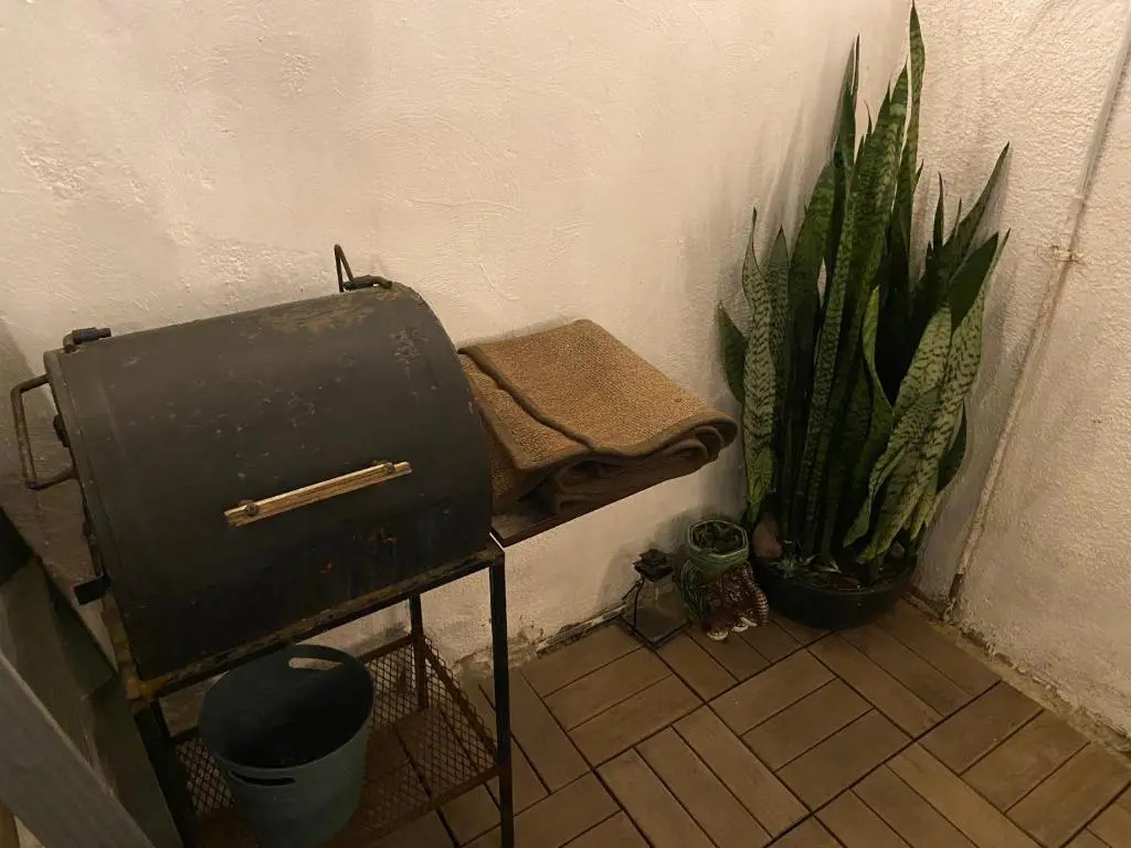 Jaguar Studio