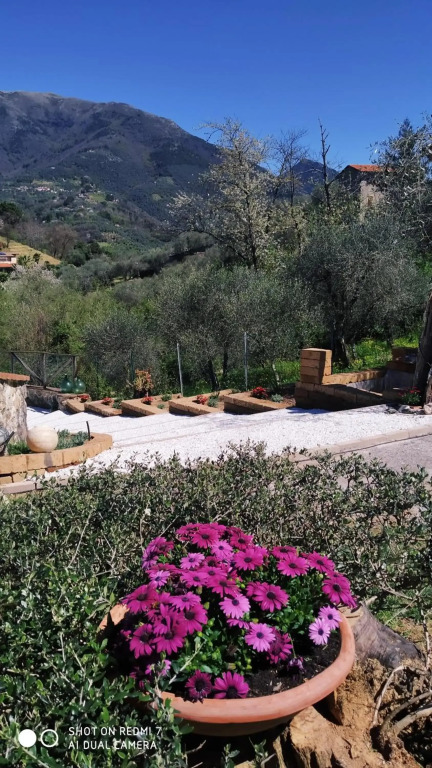 Villa Daniela