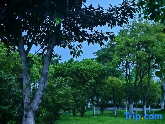 ZiYang No Difference·Tuopan Qingyuan Guesthouse