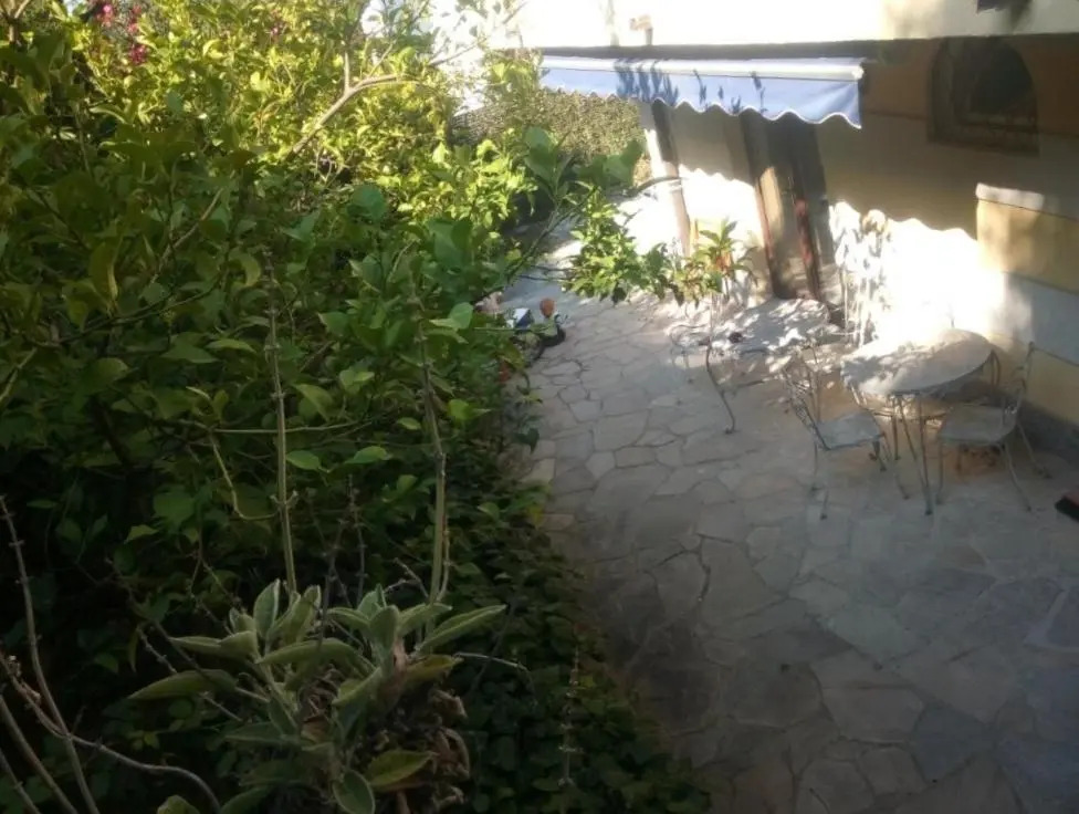 Oasi tra i limoni