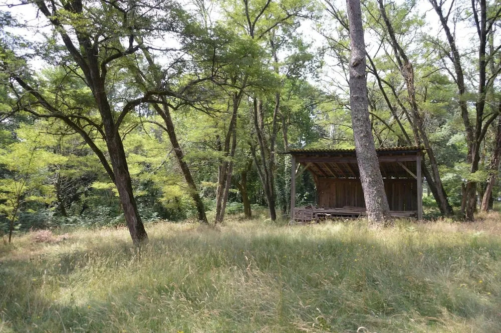 Le moulin vieux