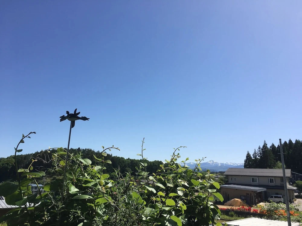 Pension Cocotte
