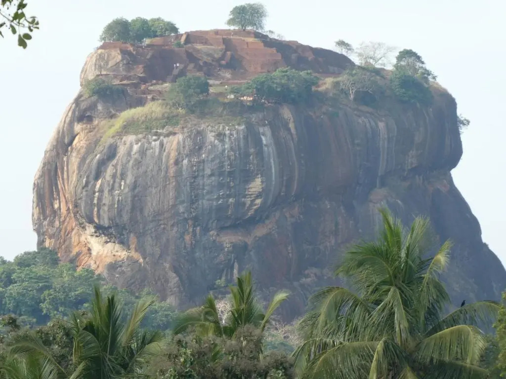 tree house and beautiful hostel sigiriya