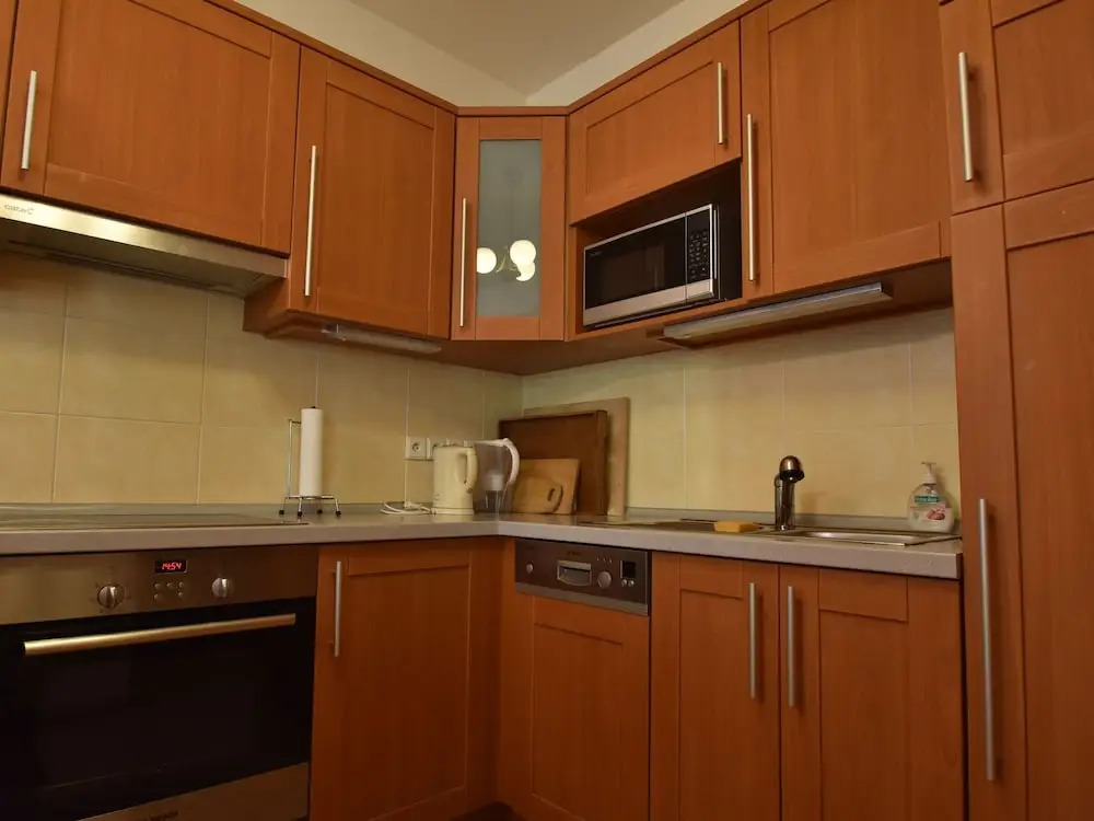 Modern Apartment in Podebrady Near River