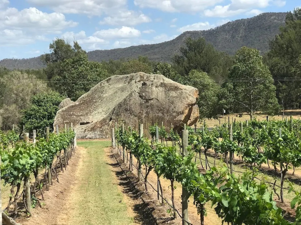 Winmark Wines