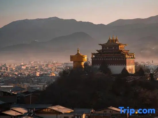 Shangri La Meets·Never Late, Silvery Moonlight | Slow City Oxygen Supply Designer Homestay