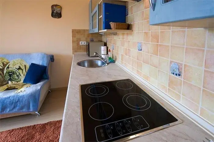 VisitZakopane - Apartament U Kozicy