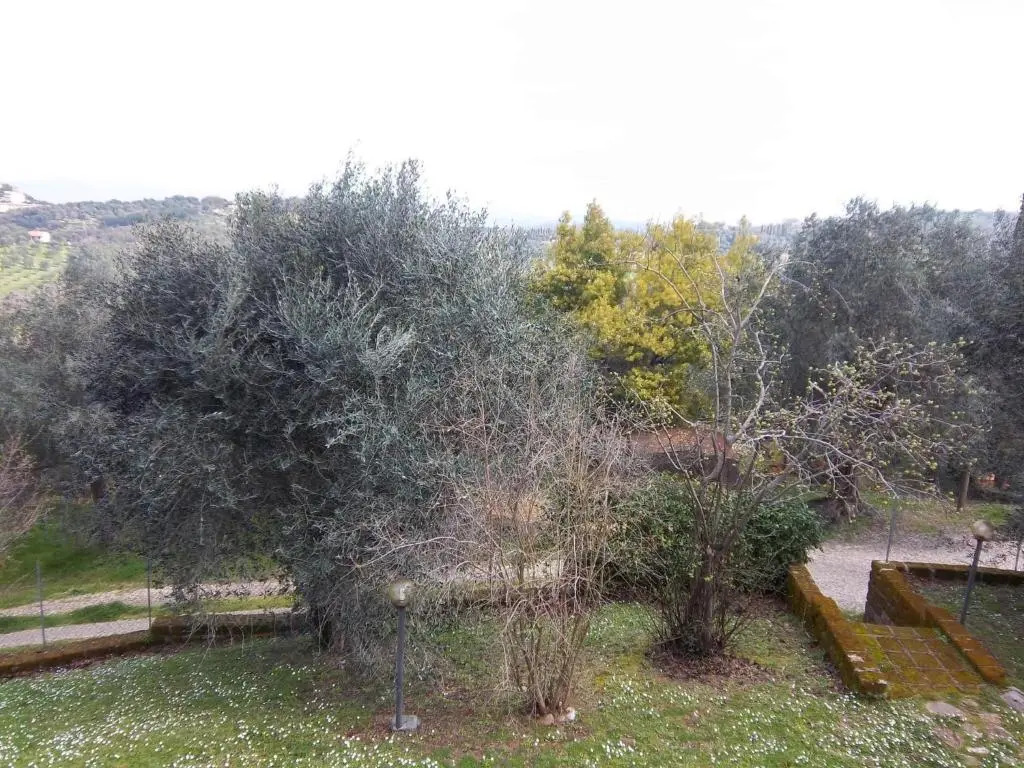 Agriturismo Norianino