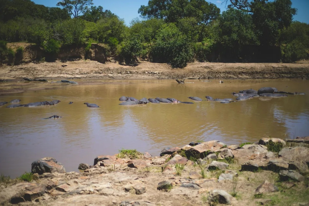 Mara Sidai Camp