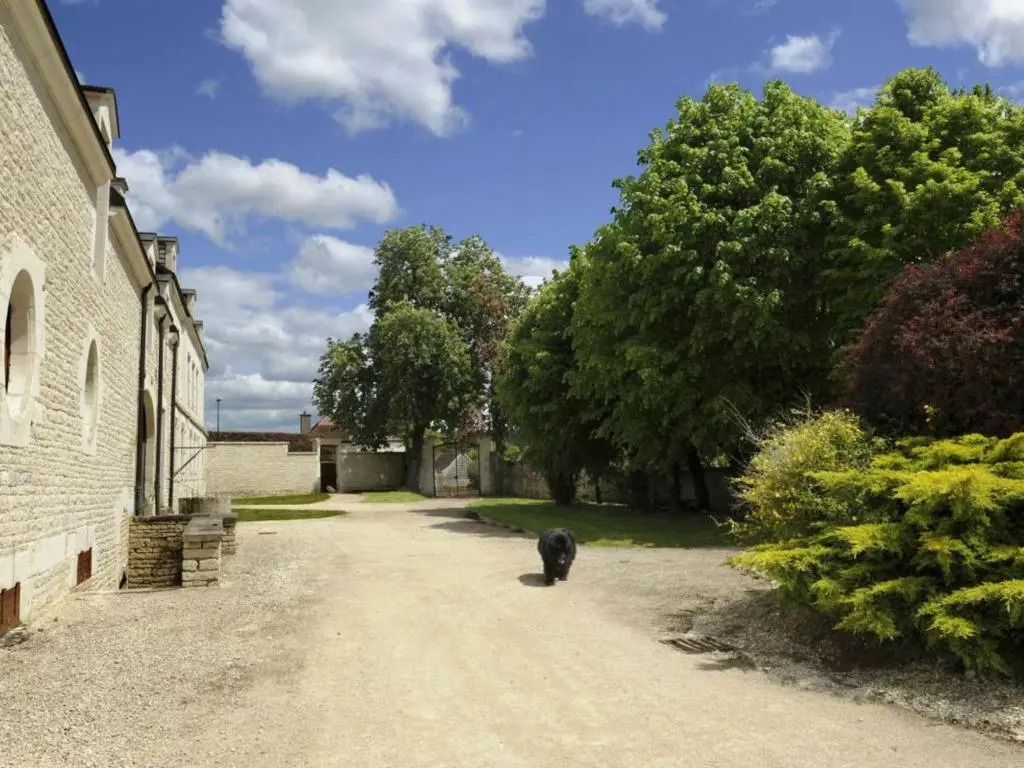Gîte Les Riceys, 4 pièces, 6 personnes - FR-1-543-154