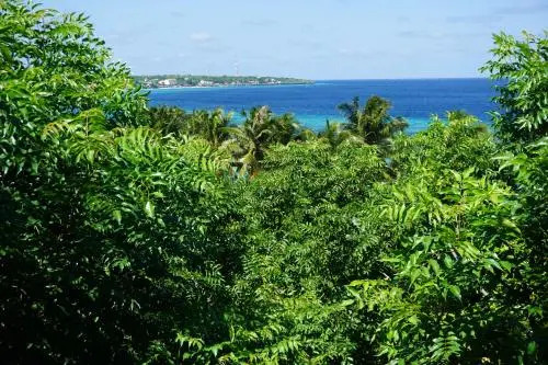 Mangga Lodge