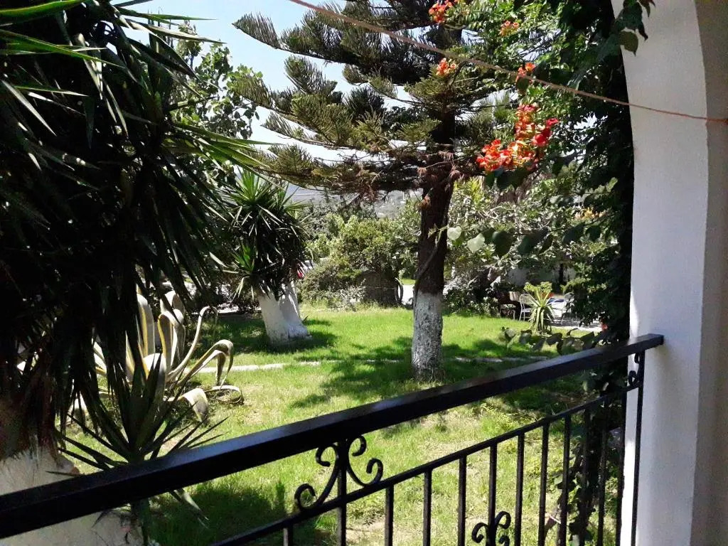 Studios Dimitris