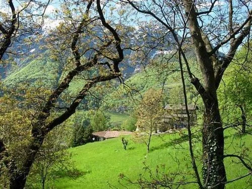 Rustico al Bosco