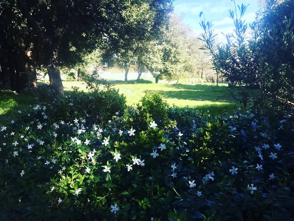 Villa Cenzina B&B