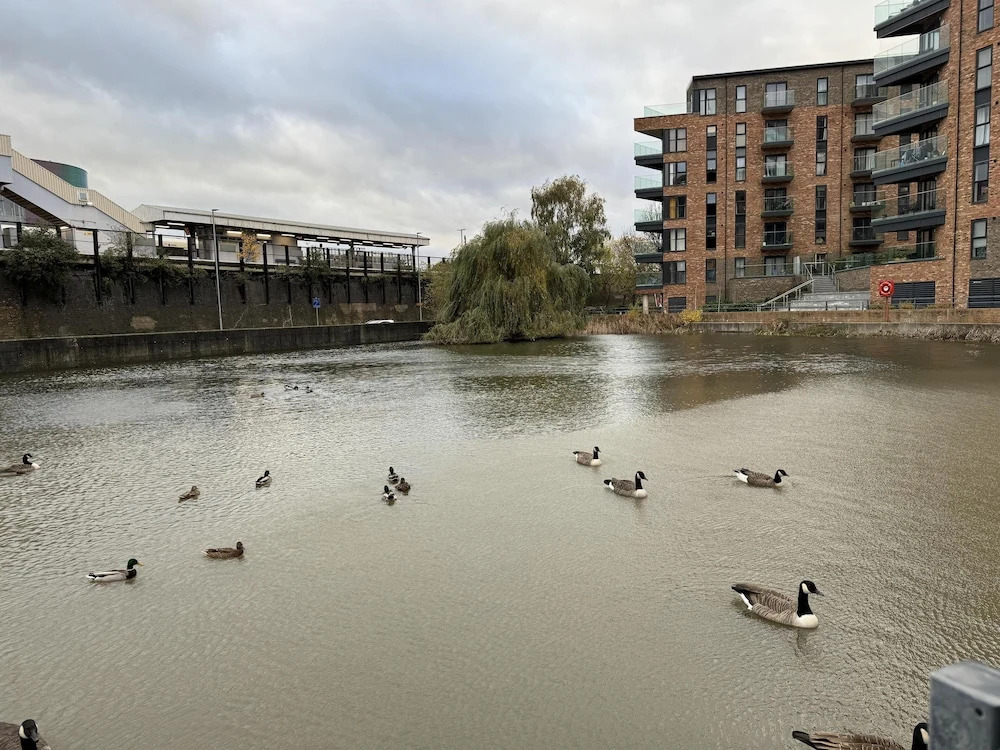 Luxury Apartment in Dartford