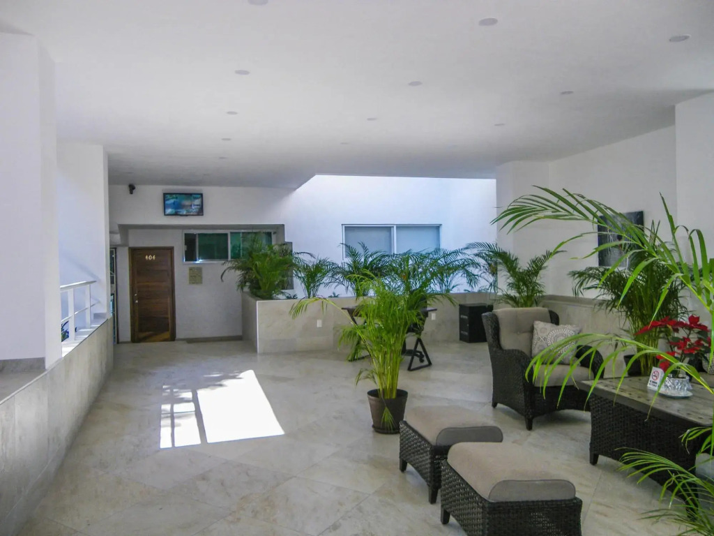 Boana Torre Malibu