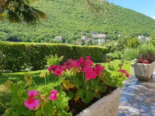 Apartment and B&B Mikleus