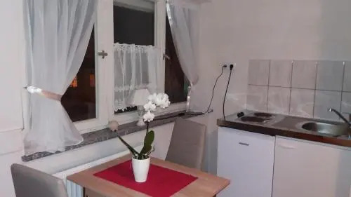 Gästehaus Apartments B & B27 und Pension Waldhorn