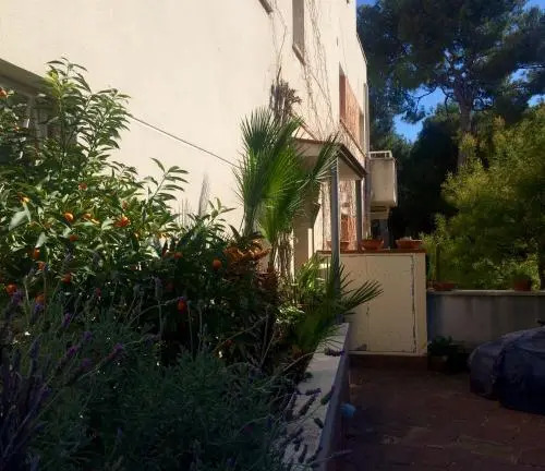 Apartaments Villa Conchi