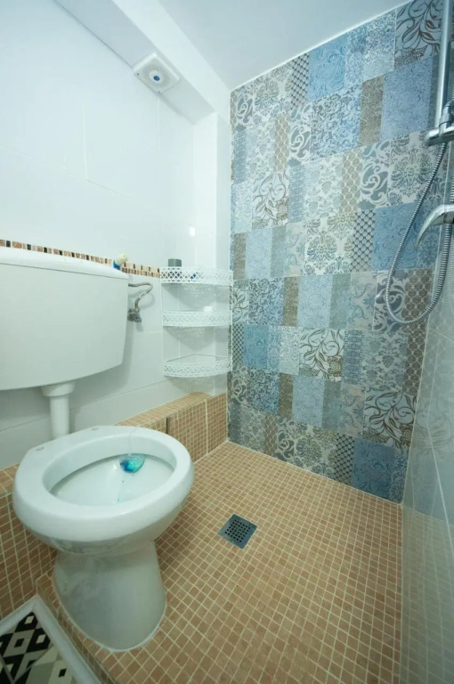 Daniela House 3