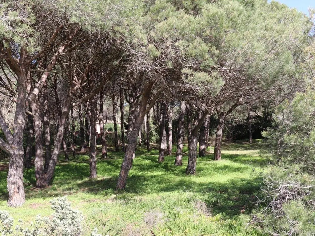 Villa Cavalaire-sur-Mer, 5 pièces, 8 personnes - FR-1-100-209