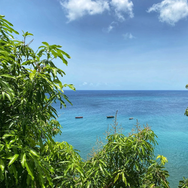Sunset Reef St. Kitts
