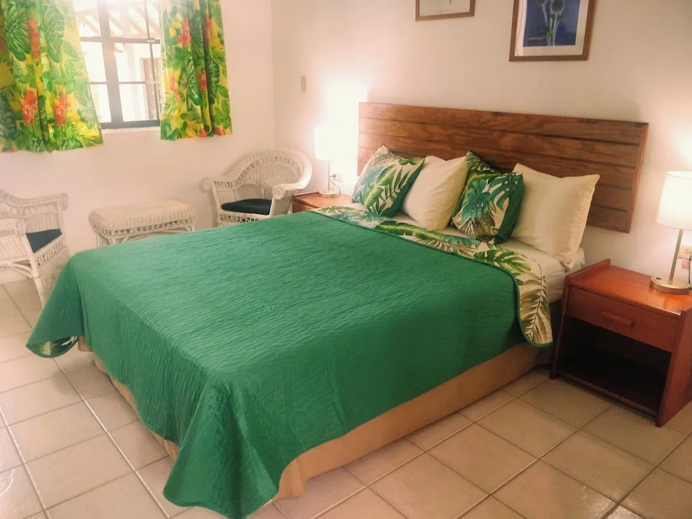 Bananaquit Tobago -Stay Near the Beach