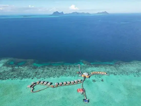 Jelly Sea Resort
