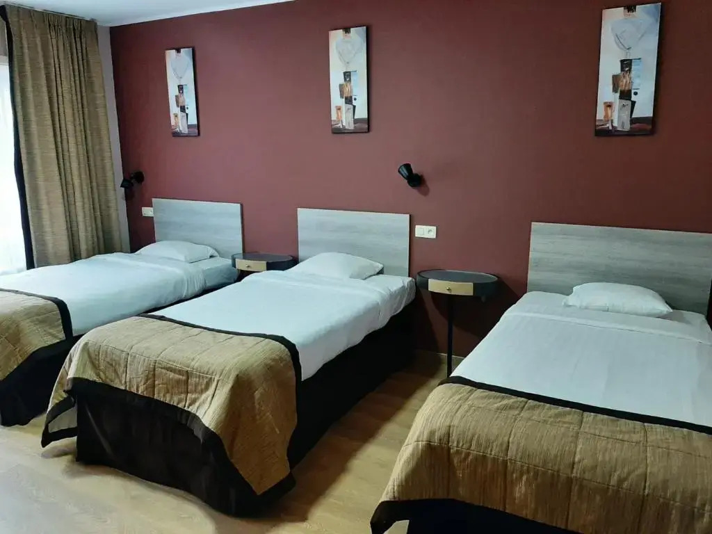 Hotel Albert