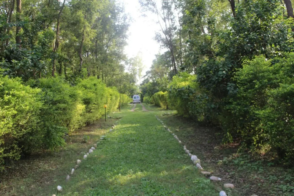 Shuklaphanta Jungle Cottage