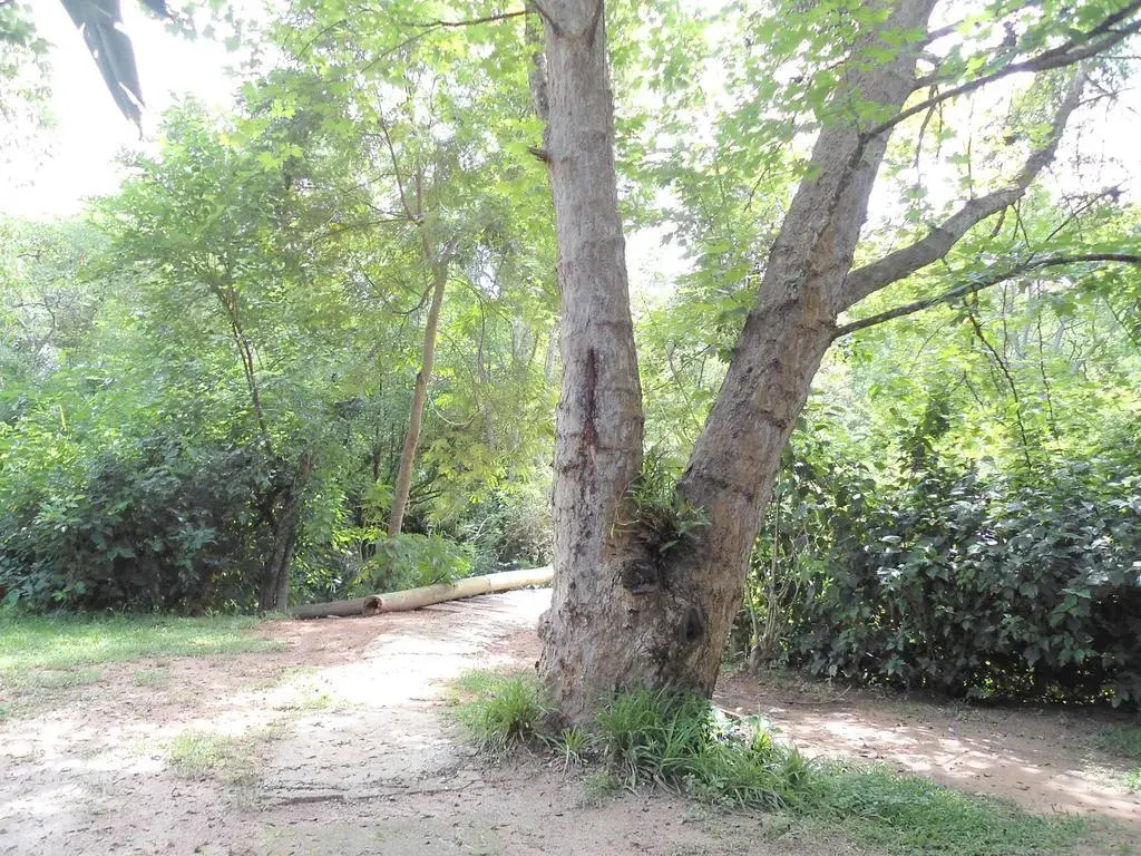 Pousada Recanto dos Pássaros