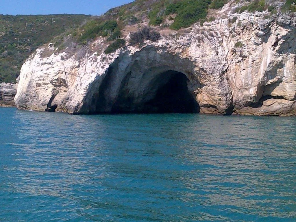 Selva Dei Pini