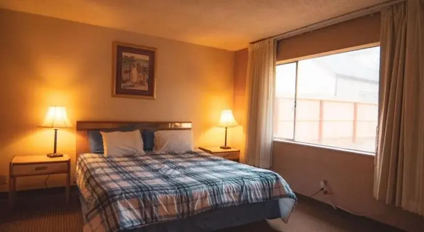 Safari Inn - Chico