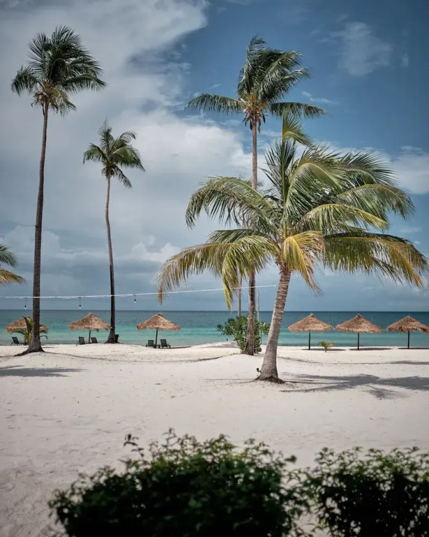 The One Resort