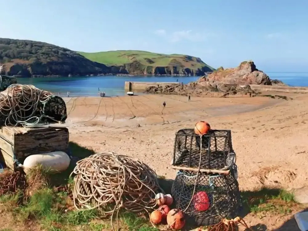 Cove View
