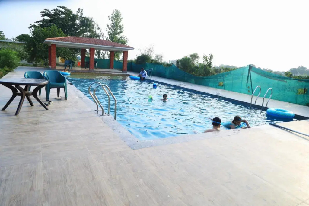 Rhea Safari Lodge