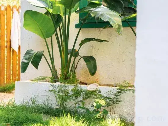 Weizhou Island Summer Haiqing Homestay