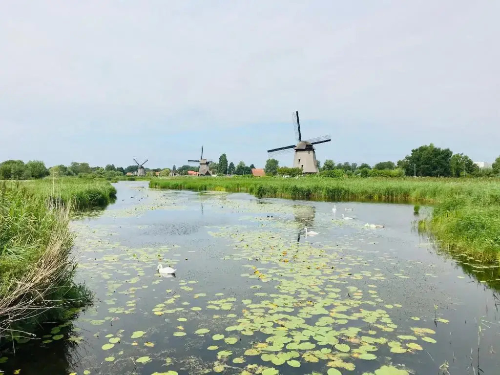 Canal House - Homestay