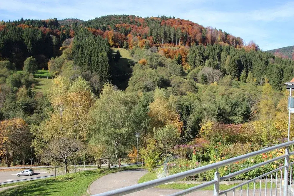 Steiert Panorama Apartments Todtnau