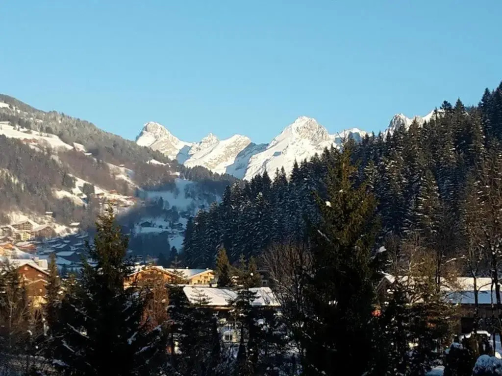 Appartement Le Grand-Bornand, 2 pièces, 6 personnes - FR-1-241-111