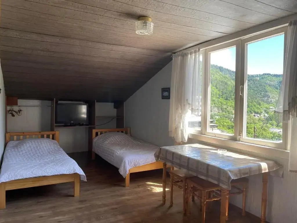 Emmas Guesthouse in Borjomi