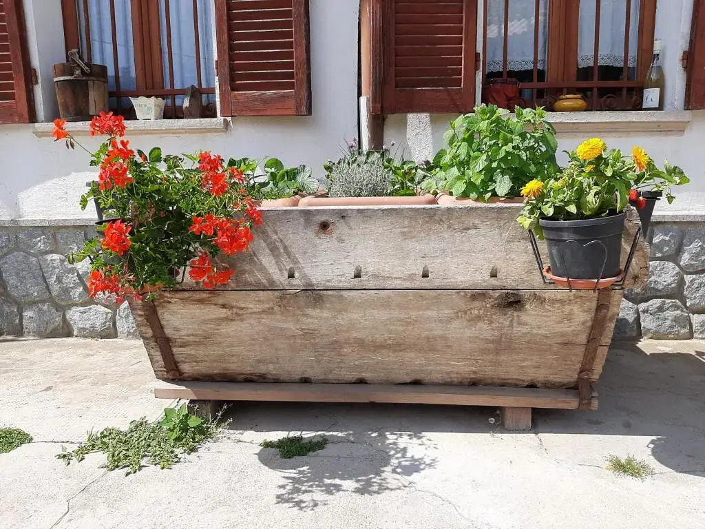 Cascina Teresina Monferrato Piscina