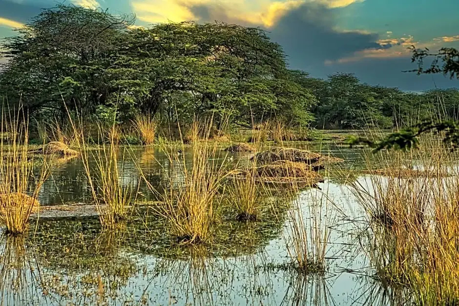 The Ashoka farms and Resort