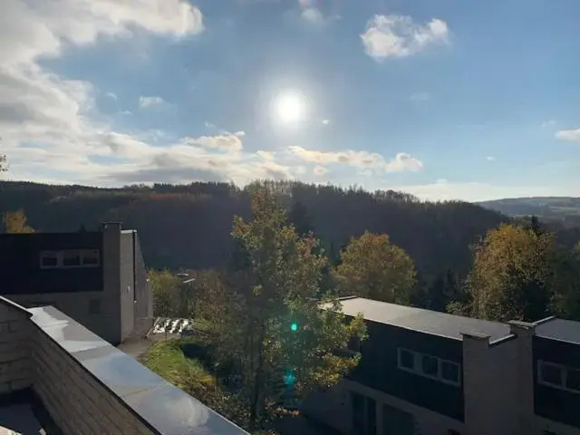 Terrasse De Malmedy, triplex 243