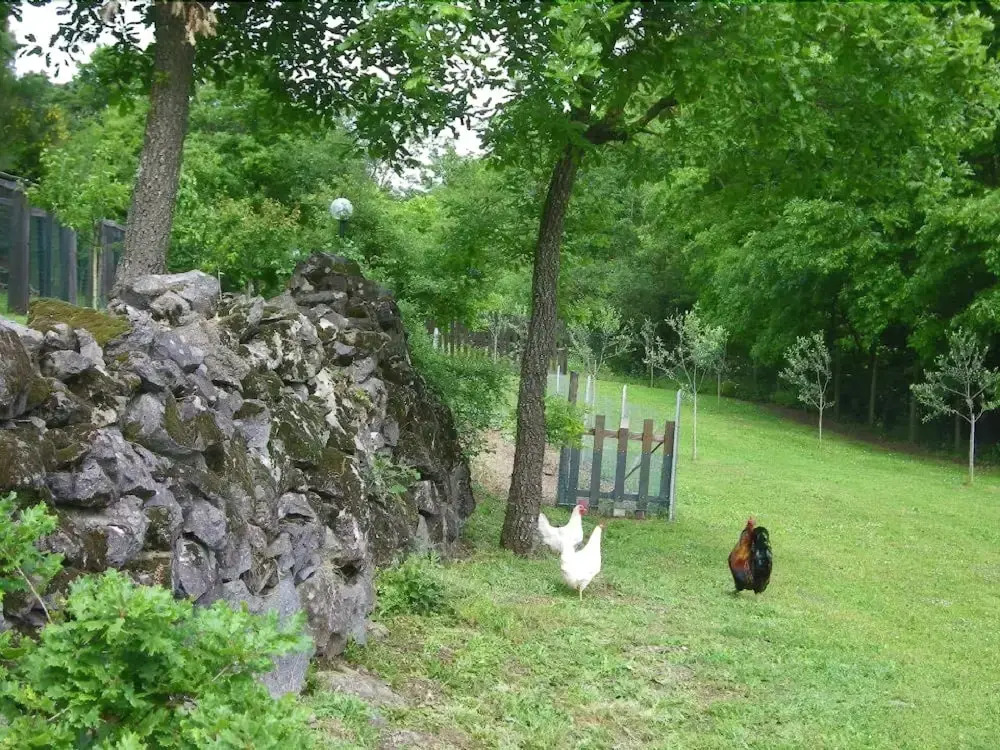Bed & Breakfast Nature