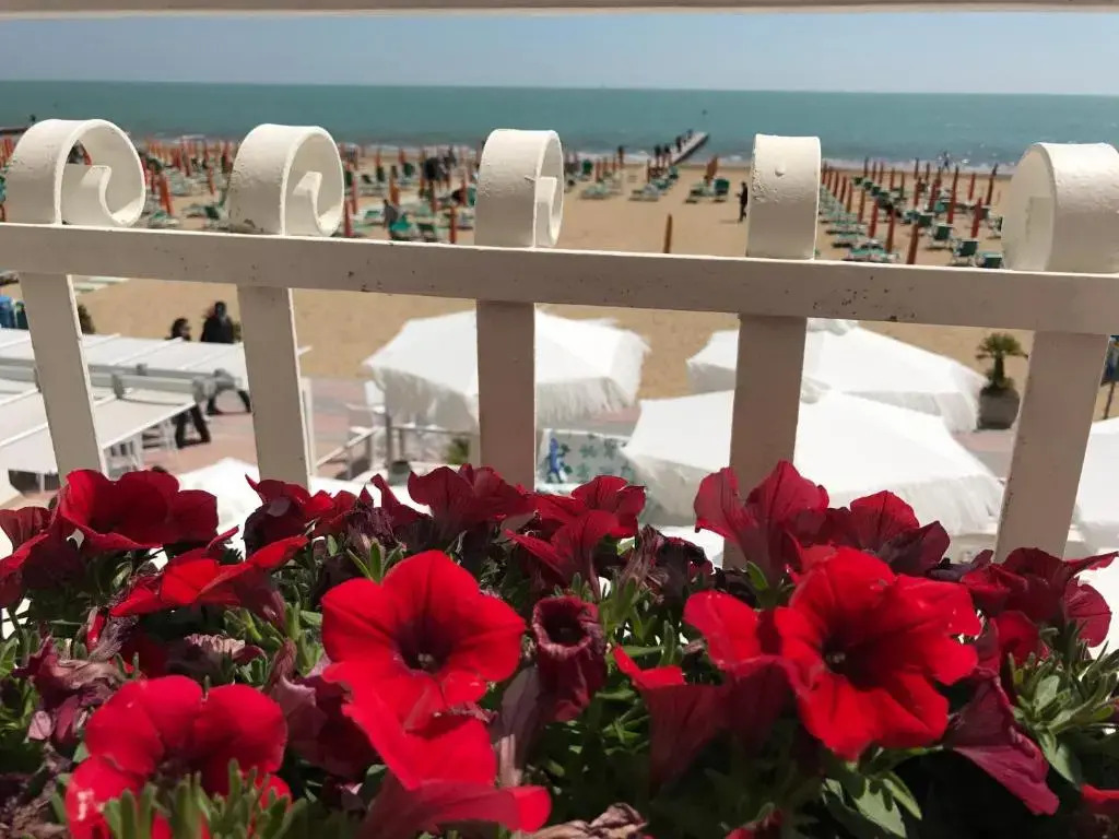 Hotel Bellariva